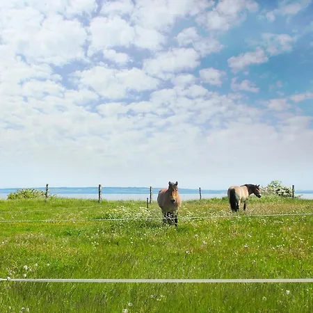 Schoener Meerblick Von Der Dachterrasse Haus Ostseeblick 1 Meehrblick * Lohme
